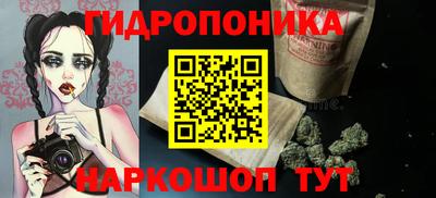 стафф Новодвинск